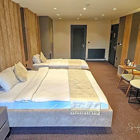 Sabiha Sultan Hotel-karakoy 3* Istanbul
