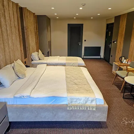 Hotel Sabiha Sultan Hotel-karakoy Istanbul